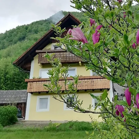 Διαμέρισμα House Andrej *