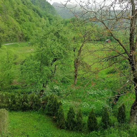 House Andrej