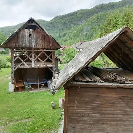 House Andrej Διαμέρισμα Bohinj
