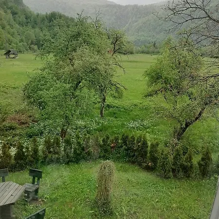 House Andrej