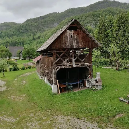 House Andrej * Bohinj