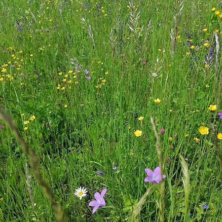 Apartma House Andrej