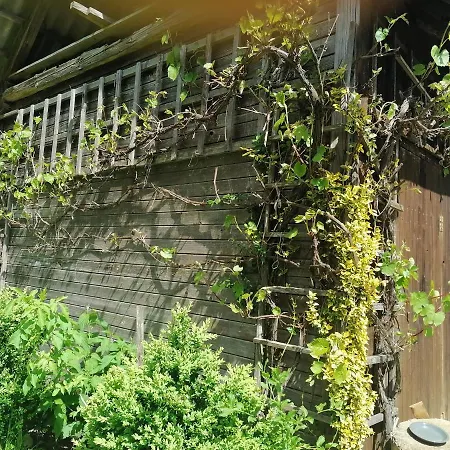 Apartman House Andrej *