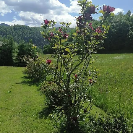 House Andrej Bohinji-tó