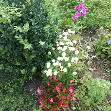 House Andrej Apartma Bohinj