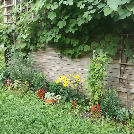 Διαμέρισμα House Andrej