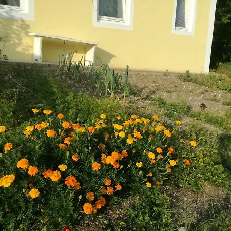 House Andrej Bohinj