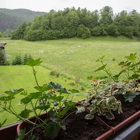 House Andrej * Bohinj