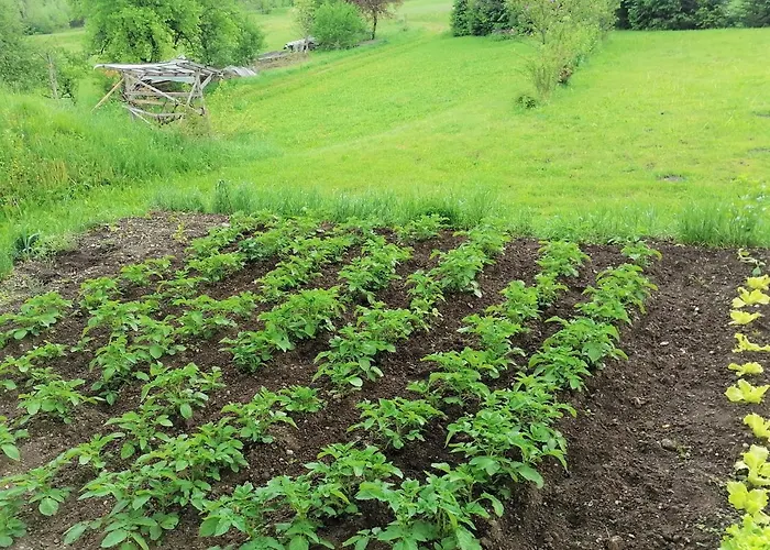 Daire House Andrej Bohinj