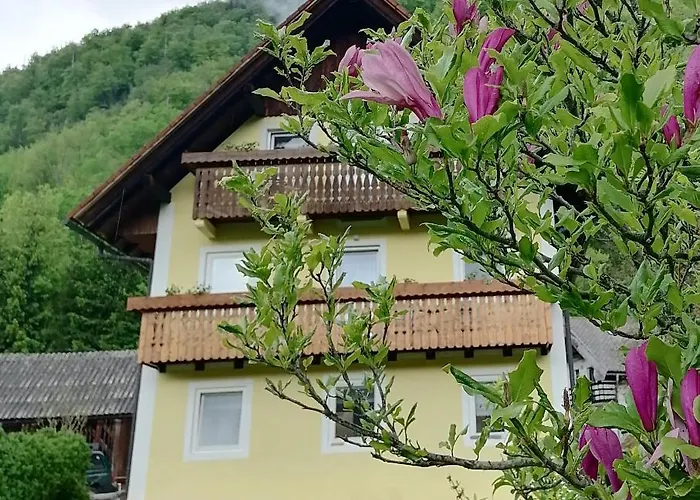 Апартаменты House Andrej *