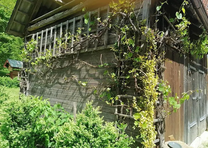 Апартаменты House Andrej *