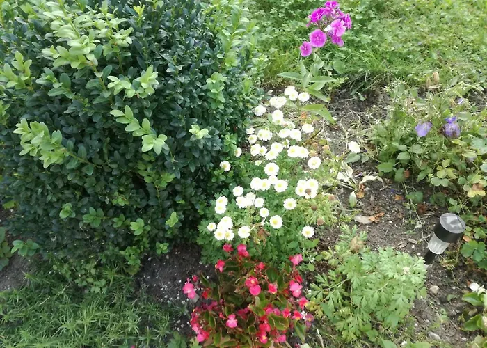 House Andrej Апартаменты Бохинь