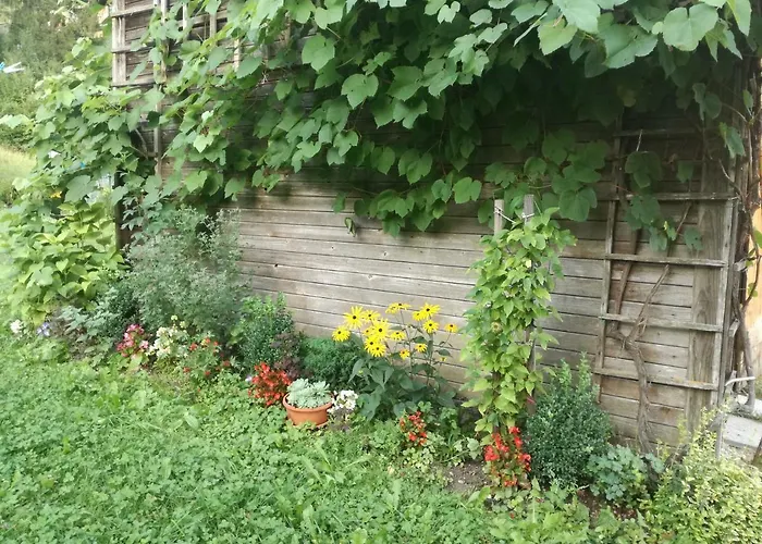 Апартаменты House Andrej