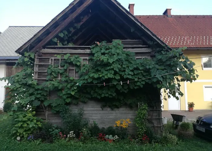 House Andrej Апартаменты Бохинь