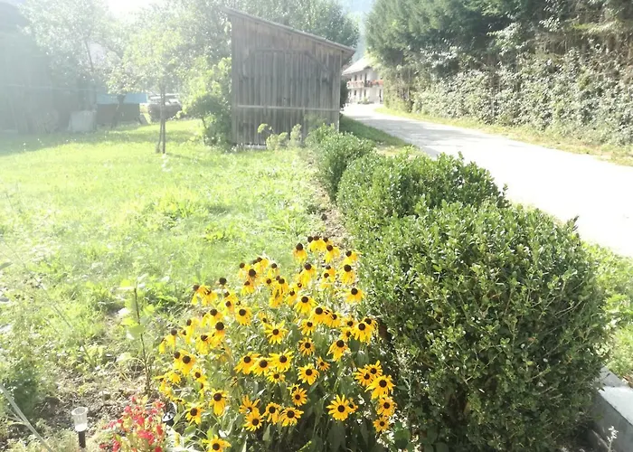 Daire House Andrej *