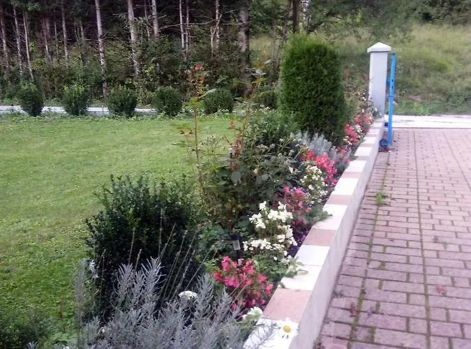 House Andrej Апартаменты *