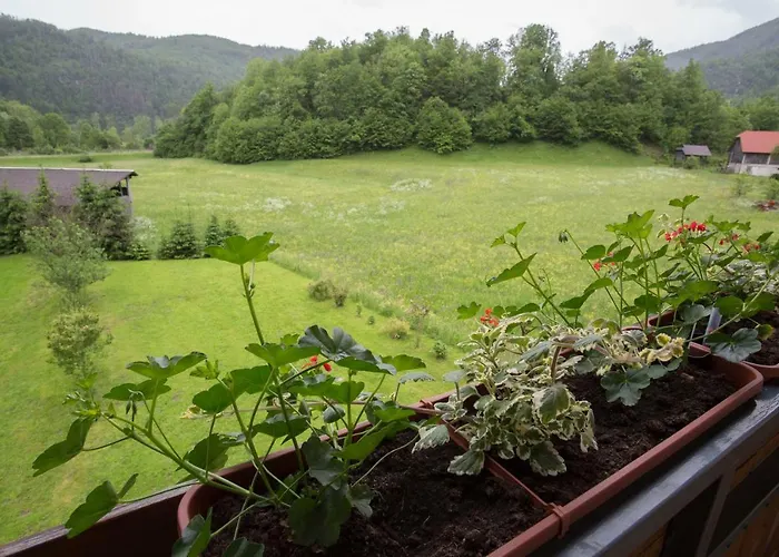 House Andrej * Bohinj